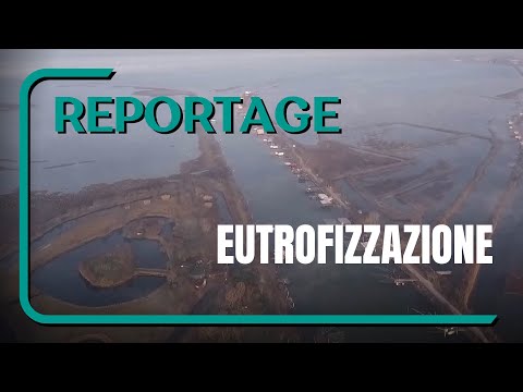 Eutrofizzazione - D5 Strategia Marina