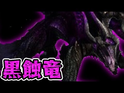 【MH4】なっちの狩り日記《2》跳梁し意思を用いず悪成さば