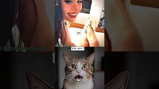 'Cat's reaction to seeing his hooman's surprise! 😂💔' #trending #memes #tiktok