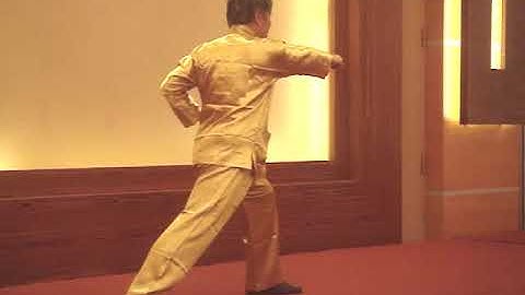 Fa Jing or Exploding Force using Black Tiger Steals Heart