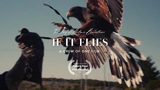 If It Flies: A documentary about a construction worker turned falconer.