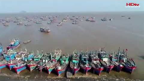 Bài hát: Ngư Lộc Quê Hương Tôi.  Làm lay động hàng triệu trái tim💗