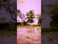 Bapu Kisan Hai 💪 Sabse Alag Teri Pehchan Hai | Farmer Life Motivation 🌾🔥#viral