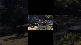 Ethology-Animal Behavior Psych 225