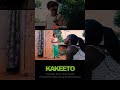 KAKEETO 4 A 
