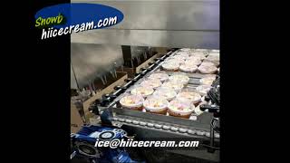 Ice Cream Automatic Cartoning Machine Ice Cream Cartoner