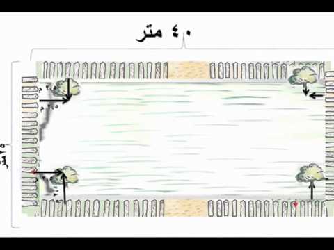 تخطيط البستان