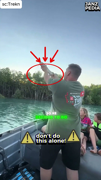 Man Throws His Catch to a Giant Eagle Mid-Air! 🦅 | Incredible Wildlife Moment