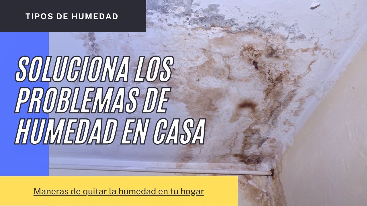 EXPLICACIÓN Y SOLUCIÓN A TODOS LOS TIPOS DE HUMEDAD QUE TENGO EN CASA ...