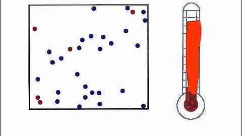 Explain Everything Demo