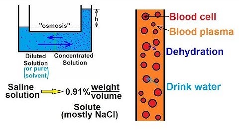 Chemistry - Solutions (51 of 53) Colligative Properties- Osmosis and Hydration