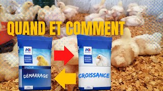 Quand et comment passer à l'alimentation croissance || Erreurs à éviter