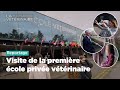 Visite de la premire cole prive vtrinaire