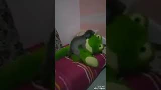 Bokep Goblok Sama Anjing Sama Boneka Bokep Goblok Sama Anjing Sama Boneka