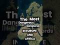 The Most Dangerous Nehigbords|DREAMCORE FUNK🤜🤛