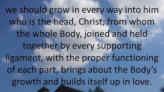 Daily Bible Reading 22 October  2016 of Catholic Mass