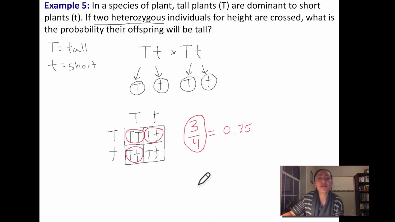 Monohybrid and Dihybrid Crosses camera iphone 8 plus apk