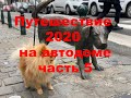 Лето 2020 на автодоме часть5