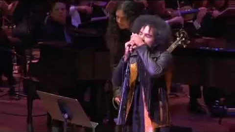 Alice In Chains Kashmir