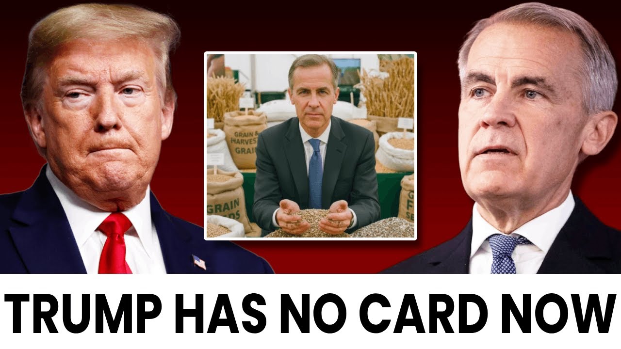 Незаметные действия Канады в отношении зерновых культур лишили США доступа к 780 миллиардам долла...