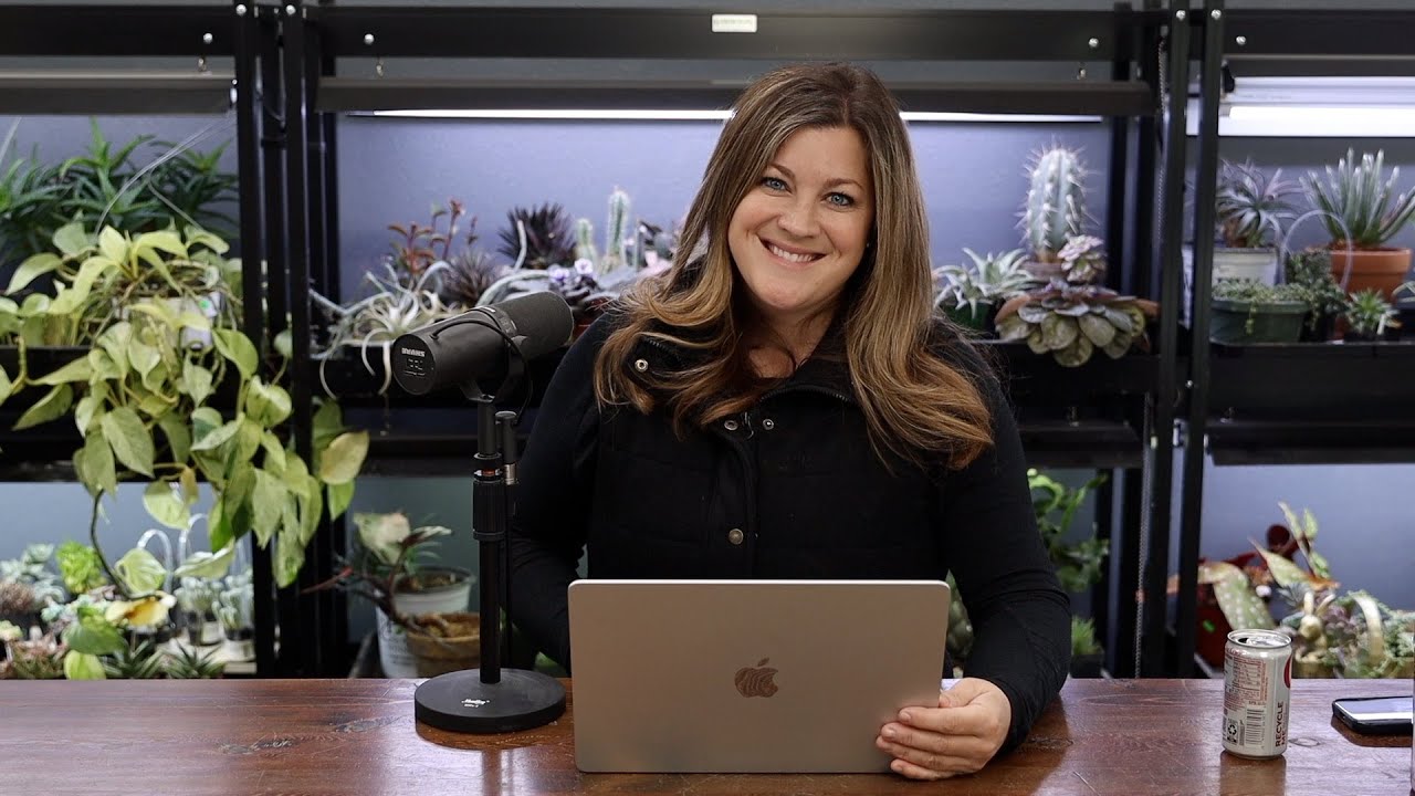 Will You Film a Recap of Everything You did Last Year? // Ornament Shipping Update?