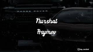 Лёша Стелит, Andery Toronto - Стая (Nurshat Asymov Remix)