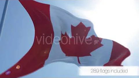 3D Flag | After Effects template