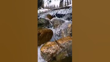 ماتيسر من سوره الانسان 🥰💖🥰🥰🥰