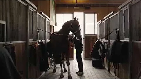 Symphony || equestrian edit video