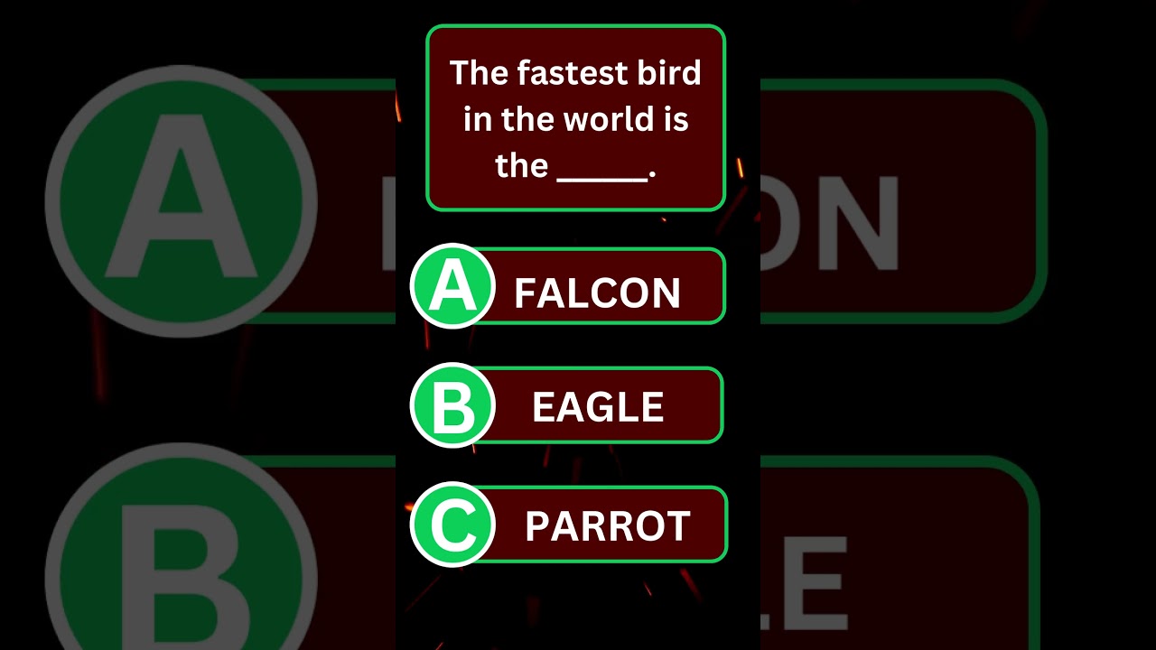 "Put Your Brain to the Test! 🧠 | 