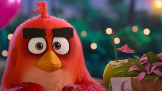 The Angry Birds 2 Not Compatible Hd Clip