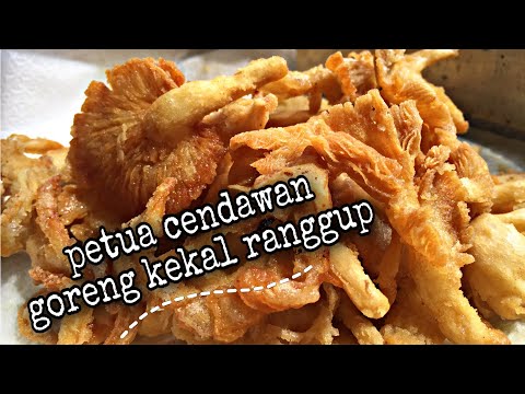 Video: Cara Menggoreng Cendawan Tiram