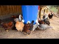 Como Hacer Comederos Para Gallinas Automáticos Caseros || La Huertina De Toni