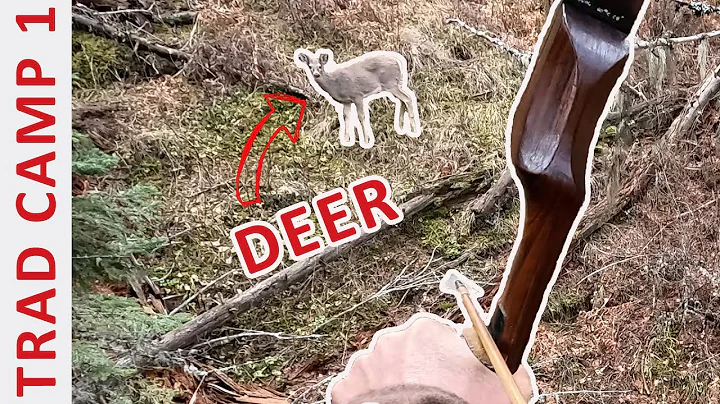 Trad Camp 2021 - Traditional Bow Hunting Mountain Deer