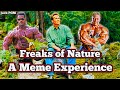 Freaks of Nature - A Meme Experience