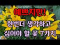 심을때 주의 해야할 꽃 2탄 한번심거나 파종하면 매년 볼수있지만! 이런꽃 심으면 손이 많이 갈수도~ 뽑아버릴수도~ㆍ Mp3 Song