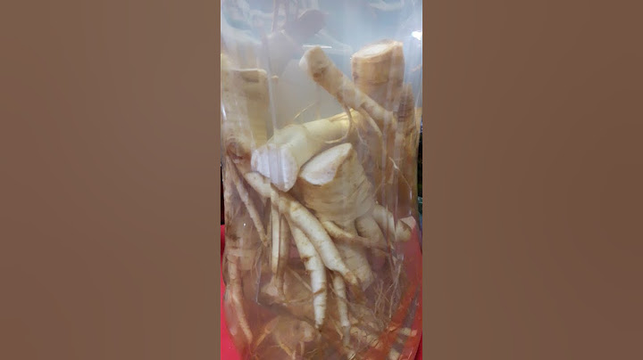 인삼주!!!비도 오는데 한잔 할래요?!!!