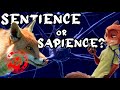 Sentient or sapient  whats the difference  sentience in animals explained