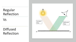 Regular Reflection Vs Diffused Reflection by Animation | Class 10 | Physics | CBSE Net Worth