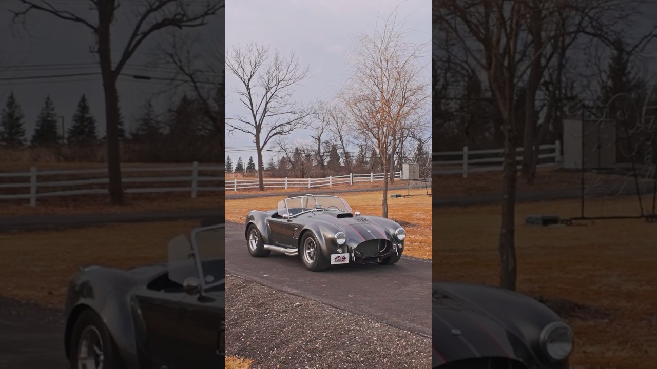 1965 Shelby Cobra MKIII For Sale | Volo Museum V21810