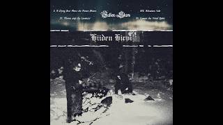 Hiiden Hirvi - Fallen Stars  (Raw Black Metal | Full EP 2026)