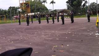 ACSI PDS 2013