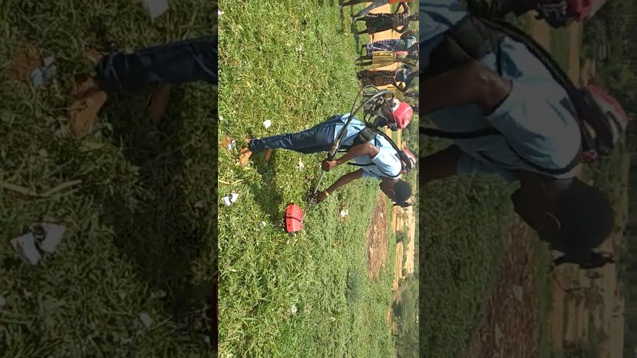 MASHINE YA  KUKATIA MAJANI, KUPALILIA NA KUVUNA MPUNGA(GRASS CUTTER).+255 677 296 169