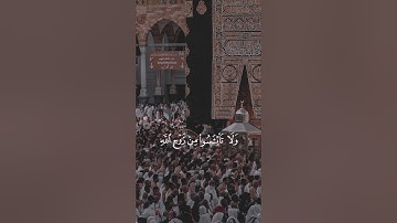 سورة يوسف {الآية 86} بصوت الشيخ ياسر الدوسري ❤️💖