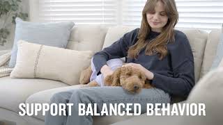 VetIQ™ Calming - Dog - 30 Sec