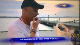 John Carlson talking sharks on WJHG TV 3/26/15
