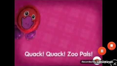 Zoopals in luig group