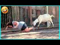 TRY NOT TO LAUGH 😂 Funny Fails Video Compilation🤭People Being Idiots #81