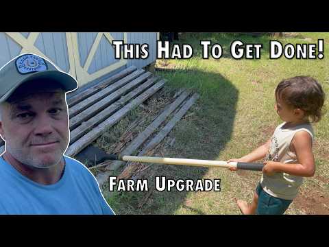 Big Help Shows Up On The Farm Just In Time. Farm Needs An Upgrade.