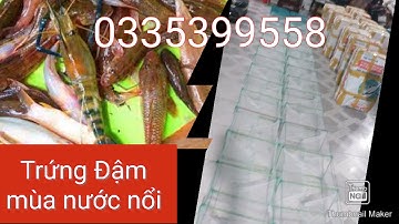 Cung cấp lú 12 cửa ngục lưới Thái Lan hôm cải tiến . trúng mùa nước nổi 4 đến 5 ngày lấy vốn